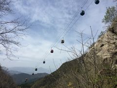 -王顺山国家森林公园