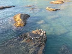 -东山珍珠岛
