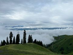 -新疆那拉提国家旅游度假区