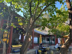 -宫事颐庭·老佛爷贵寿下午茶(颐和园店)