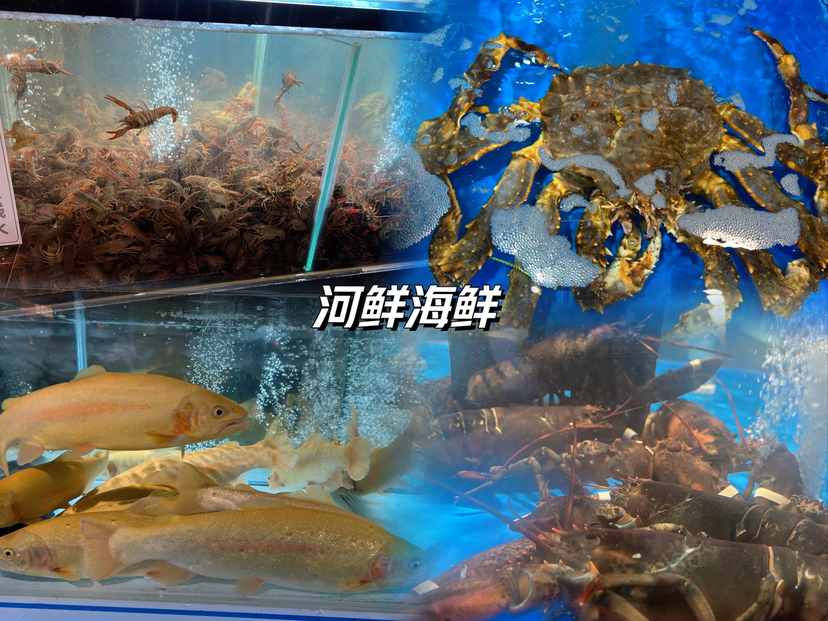 https://qcloud.dpfile.com/pc/cleZSQCopAK7EQLhX63bI3UwN3zi1tIq0cW-XgfAd-7PYW0oAAFZXQA-paWkDCCMY0q73sB2DyQcgmKUxZFQtw.jpg
