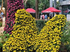 -共青国家森林公园-售票处