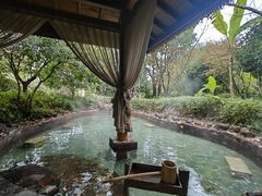 -苏州湾·王焰温泉