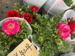 -龙大花卉苗木市场