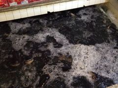 iphone_upload_pic-旭龙鱼头王(航华店)