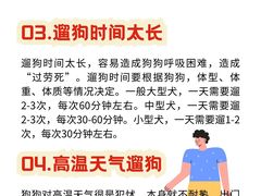 -翊宠yipet猫狗购宠庄园犬舍•猫舍