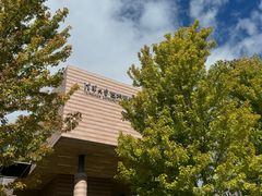 -清华大学艺术博物馆