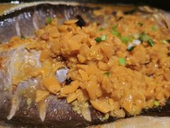 -蜀渔港·鱼缸烤鱼店(华山珑城店)
