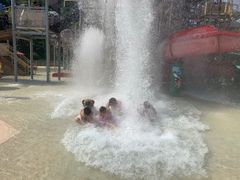 -重庆海昌加勒比海水世界