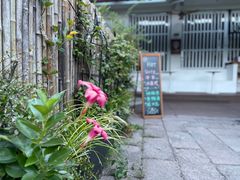 -Cafe In Little Forest