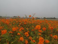 -江苏三台山国家森林公园