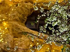 -顶特勒·黄鱼馆·特色菜(上海大世界店)