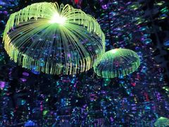 -深圳独角兽星空艺术馆