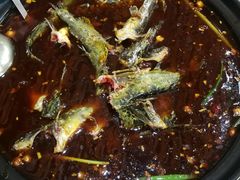 -金海椒罐罐鲢鱼(东方桂苑店)