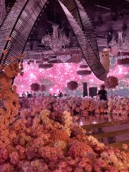 -迈瑞米求婚策划(静安店)