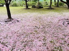 -苏州河梦清园环保主题公园