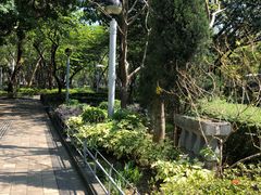 -九龙公园