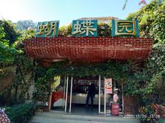 -野象谷景区