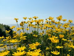 -舟山嵊泗列岛风景名胜区