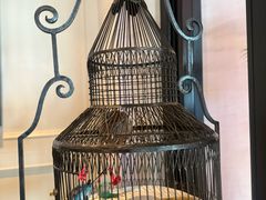 -上海总会SHANGHAICLUB(兴业太古汇店)