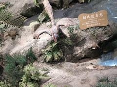 -辽宁古生物博物馆