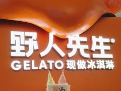 -野人先生现做冰淇淋(北京王府井东方新天地店)