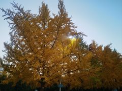 -辽宁大学(崇山校区)