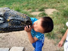 -祥源·阜阳生态乐园