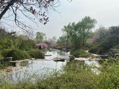 -石家庄市植物园