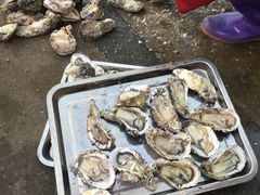 -蚝专家(北滘店)
