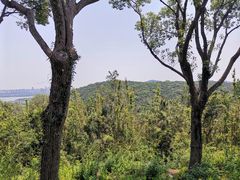 -宝界山林公园
