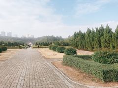 -南沙蒲洲花园