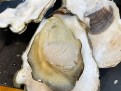 桑拿蠔-天宝食坊·啫啫煲大排档(西华路店)