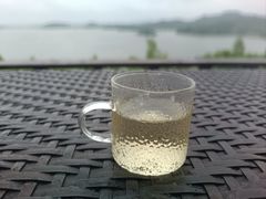 -天目湖涵田半山温泉