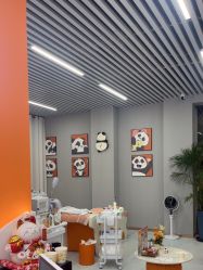 -洗脸熊·洗脸吧