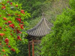 -云溪植物园