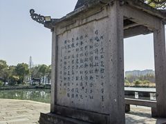 -鲁镇