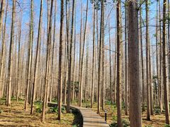 -上海怡沁园度假酒店