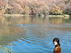 -紫霞湖公园