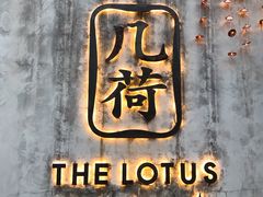 -几荷·恰似故人来(秀水广场店)