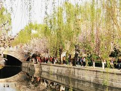 -海棠花溪(元大都城垣遗址公园)