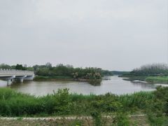 -塘沽森林公园