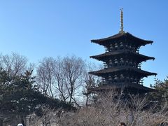 -北京世界公园