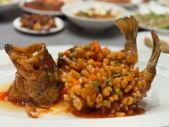 -燕春楼(海河华鼎店)