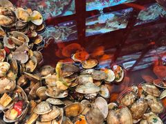 -丽丽水煮(顺外路店)