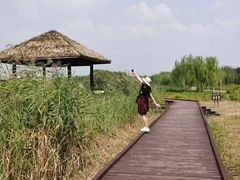 -西青郊野公园