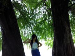 -南宁良凤江国家森林公园