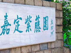 -嘉定紫藤园