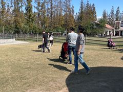 -上海长兴岛郊野公园