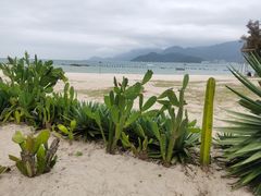 -花海间·即刻露营
